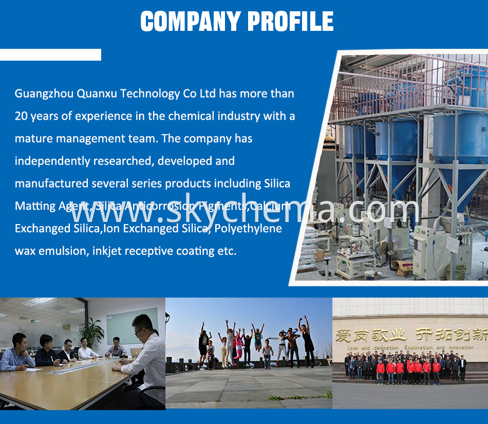 Company Profile